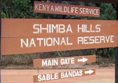 Shimba Hills Tour