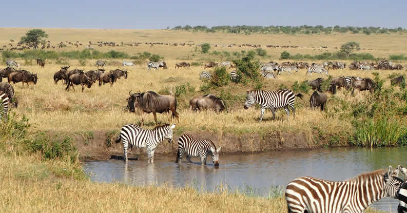 3 Days Amboseli Safari_3